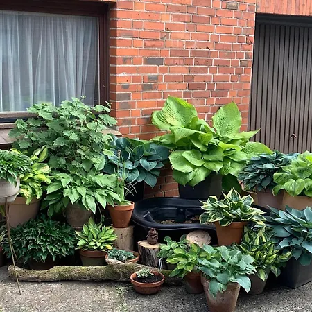 Apartment Boitzer Stuuv