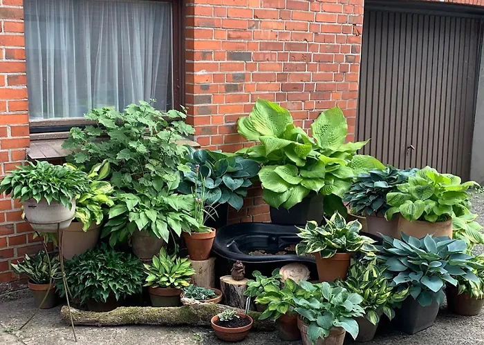 Appartement Boitzer Stuuv